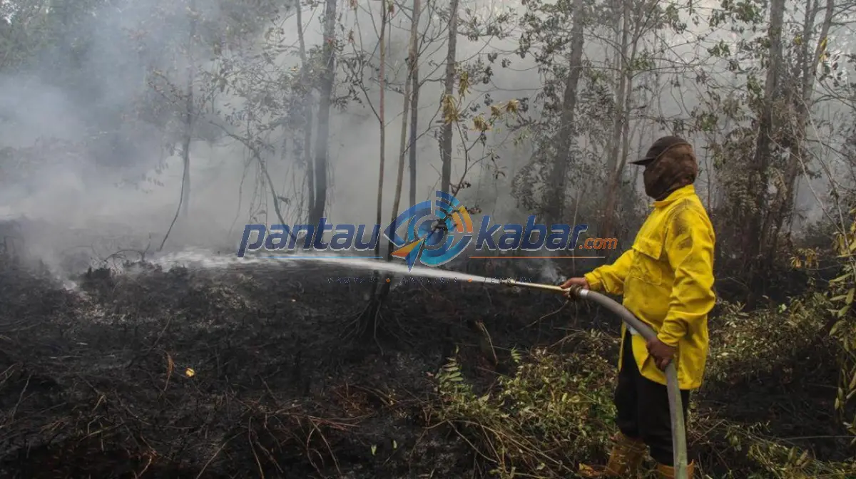 Kebakaran Hutan Kalimantan Oktober 2026 Kebakaran hutan dan lahan di Kalimantan yang mengancam lingkungan dan habitat satwa liar.